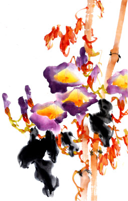 Ngan Siu Mui Art School, Chinese painting lesson, Morning Glory flower, Montreal, Quebec